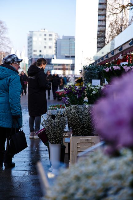 A busy outdoor flower market scene showing various floral arrangements and bouquets displayed on tables and wooden crates. The flowers include white gypsophila, purple and pink chrysanthemums, and oth